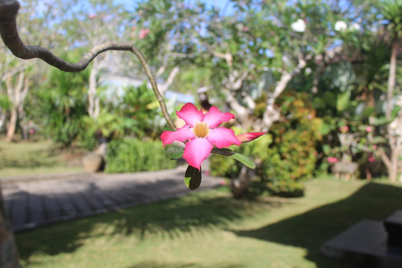 El Homestay Bali Nusa Dua  Exteriör bild