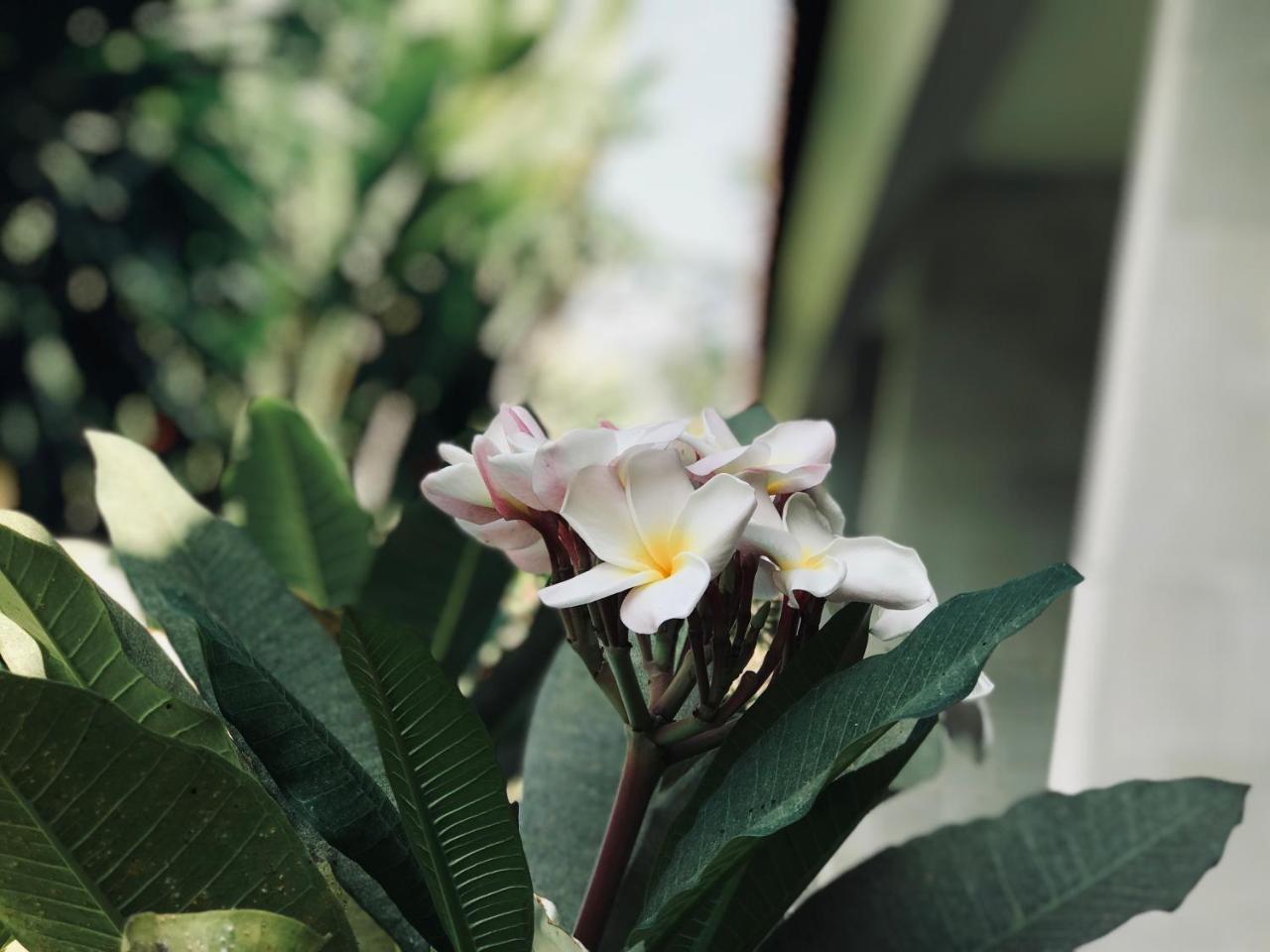 El Homestay Bali Nusa Dua  Exteriör bild